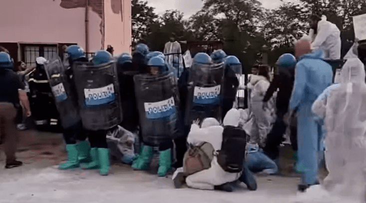 Pavia, scontri tra polizia e attivisti per irruzione nel rifugio di Sairano: abbattere i maiali con la peste suina africana