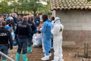 Nove maialini uccisi dalla polizia nel rifugio ‘Cuori Liberi’: la peste non trasmissibile all’uomo e l’assurda esecuzione dell’ordinanza Nove maialini uccisi dalla polizia nel rifugio ‘Cuori Liberi’: la peste non trasmissibile all’uomo e l’assurda esecuzione dell’ordinanza
