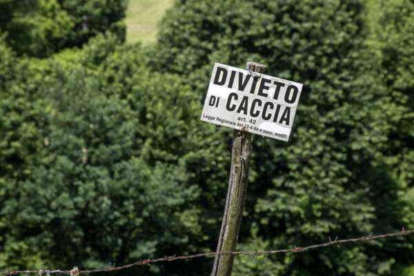 Arezzo, bambina di 3 anni esce a giocare nel giardino di casa: colpita al volto da una scarica di pallini da caccia