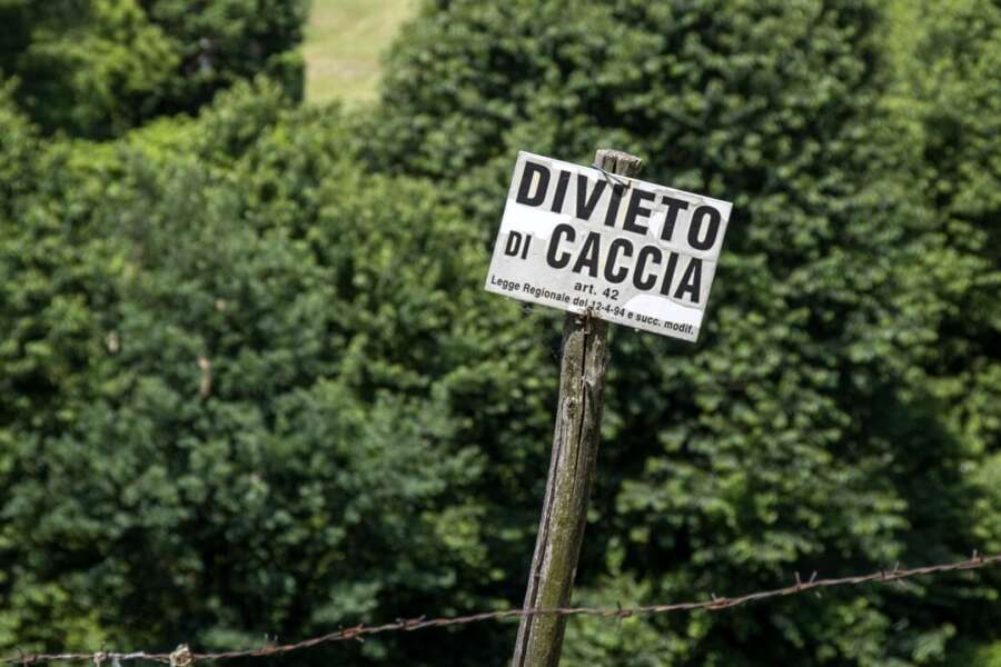 Arezzo, bambina di 3 anni esce a giocare nel giardino di casa: colpita al volto da una scarica di pallini da caccia
