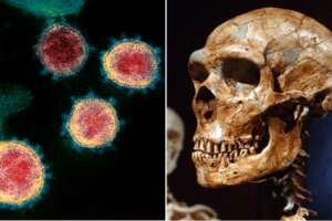 Covid, un gene risalente all’uomo di Neanderthal ha condannato Bergamo alle forme gravi di malattia