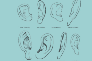 “Miti emblemi spie”: la nuova edizione a cura di Adelphi, per orientarsi nel caos