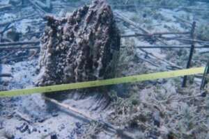 Le ricchezze storiche dei Balcani, terre non solo di guerra, tensioni, e discordia