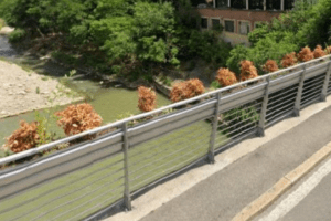 Bologna, 15enne si butta da un ponte dopo aver inviato un sms. Ma il padre la geolocalizza e la salva