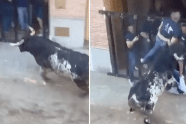 Valencia, uomo muore incornato durante la corsa dei tori. Aveva 61 anni