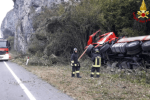 Belluno, cervo sfonda il parabrezza e finisce dentro la cabina di un tir che si ribalta: morto il camionista