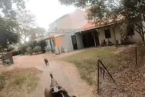 Israele, il video dei terroristi di Hamas: appiccano il fuoco in un kibbutz e fucilano anche il cane. L’esperto israeliano aveva previsto tutto: “la guerra inizierà a ottobre” Israele, il video dei terroristi di Hamas: appiccano il fuoco in un kibbutz e fucilano anche il cane. L’esperto israeliano aveva previsto tutto: “la guerra inizierà a ottobre”