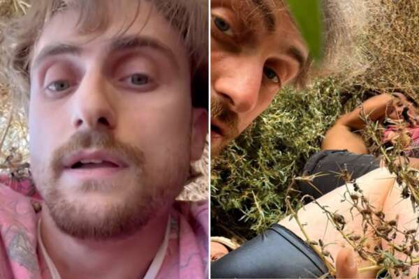 Israele, il racconto dal Nova Music Festival: “Mi sono salvato nascondendomi otto ore tra i cespugli. Pensavo di morire”