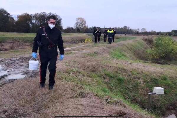 giulia cecchettin filippo turetta