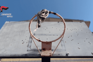 Imprenditore del Pd di Napoli denuncia usurai: prestiti durante il Covid e tassi alle stelle, sei misure