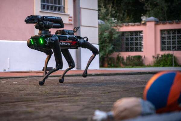 Saetta, cosa sa fare il primo cane-robot ‘arruolato’ dai carabinieri: “Ridurrà i pericoli degli umani” Saetta, cosa sa fare il primo cane-robot ‘arruolato’ dai carabinieri: “Ridurrà i pericoli degli umani”