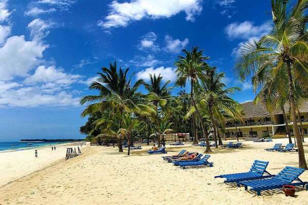 Turista italiana morta in Kenya per incidente durante transfer: era arrivata da poche ore per le vacanze di Natale Turista italiana morta in Kenya per incidente durante transfer: era arrivata da poche ore per le vacanze di Natale