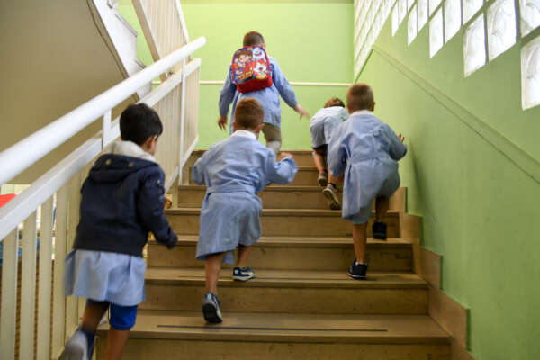 Formazione e lavoro in Italia non funzionano: serve una cura da cavallo ma i soldi mancano Formazione e lavoro in Italia non funzionano: serve una cura da cavallo ma i soldi mancano