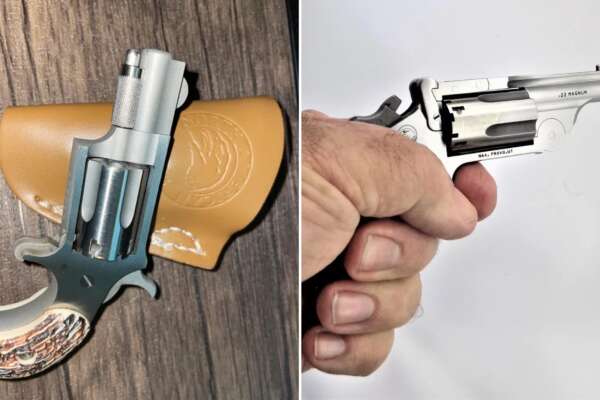 Come è fatta la North American arms LR22, la mini pistola del deputato di FdI Emanuele Pozzolo