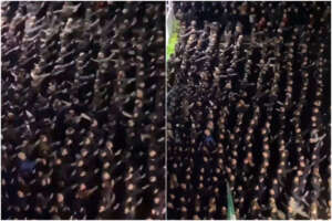 acca larentia acca larentia