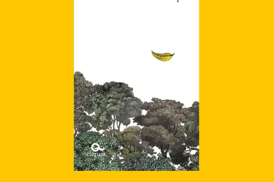 Prima e dopo, bentornata Alba de Céspedes