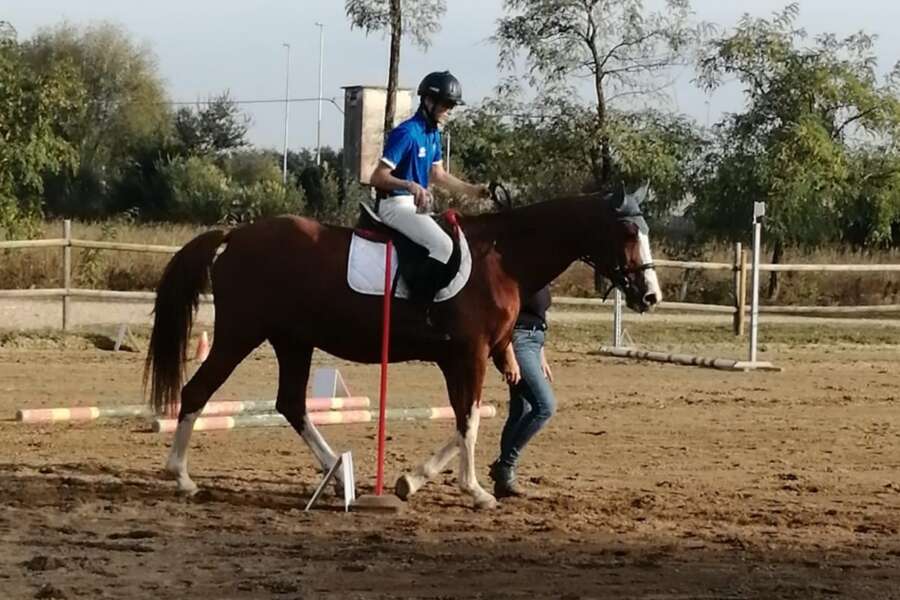 Perché l’ippoterapia è utile nella cura e riabilitazione in molti casi di disabilità fisica o psichica