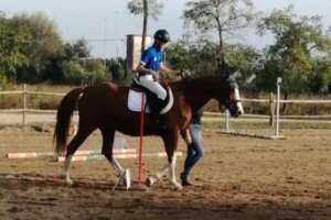 Perché l’ippoterapia è utile nella cura e riabilitazione in molti casi di disabilità fisica o psichica