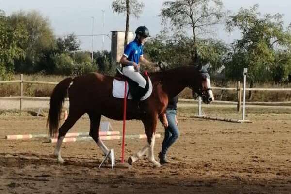 Perché l’ippoterapia è utile nella cura e riabilitazione in molti casi di disabilità fisica o psichica