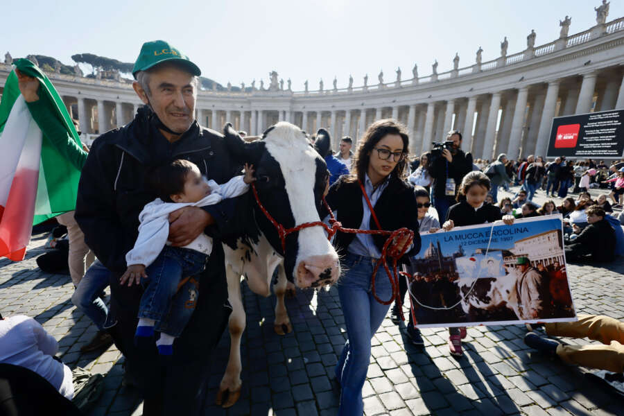 Foto Cecilia Fabiano/LaPresse 18 febbraio 2024 Città del Vaticano – Cronaca – Protesta dei Trattori : la mucca Ercolina portata a San Pietro per la benedizione papale Nella foto: gli agricoltori a San Pietro con Ercolina 

February 18, 2024 Vatican City –  news – Tractor Protest ,  farmers carryng  ErcolinIn caw at St Peter’s square during Angelus In the photo: the farmers and the caw