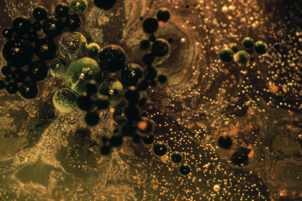 “Gli embrioni congelati vanno parificati a dei bambini”. La decisione della Corte Suprema dell’Alabama e il caso dell’incidente in una clinica