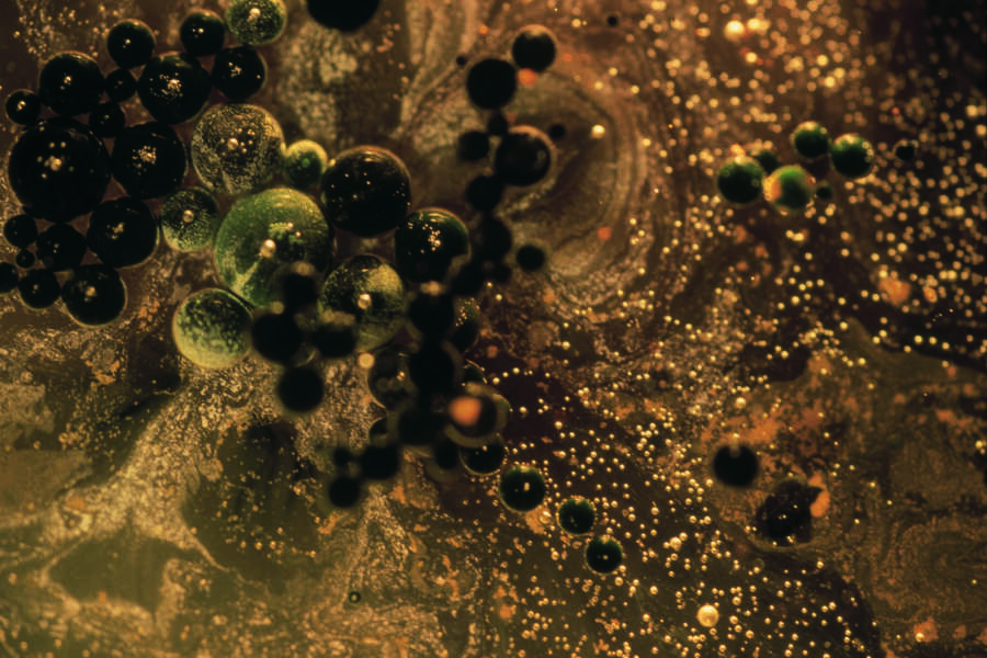 “Gli embrioni congelati vanno parificati a dei bambini”. La decisione della Corte Suprema dell’Alabama e il caso dell’incidente in una clinica