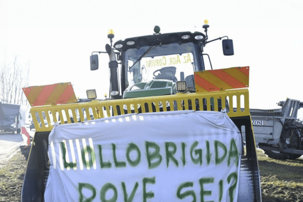 Il cognato desaparecido. Chi ha visto Lollobrigida? Agricoltori infuriati avvertono “entriamo a Roma”