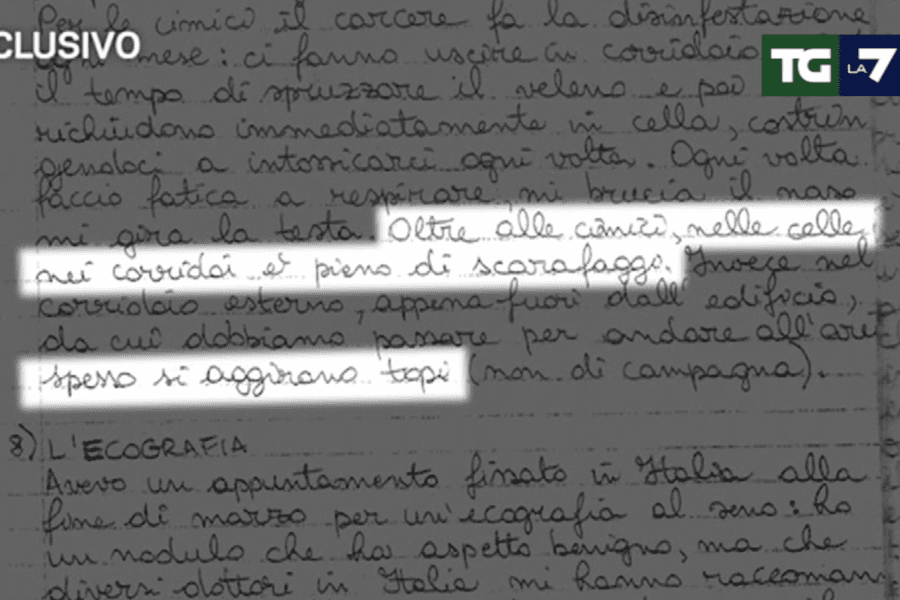 Ilaria Salis, le condizioni in carcere