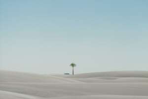 Miraggio delle pensioni