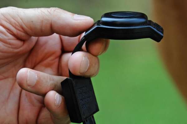 Uomo si avvicina a compagna e figlio 12enne, scatta il braccialetto anti-stalking e arrivano i carabinieri