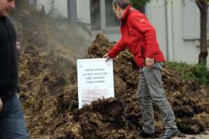 Protesta agricoltori in Francia, a Bordeaux la polizia usa gas lacrimogeni per disperdere la folla: letame e rifiuti davanti ai palazzi governativi