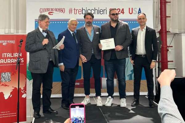 Negli Usa se vuoi, puoi: perché questo non accade in Italia, manca approccio all’investimento