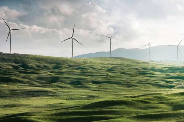 Green & Social Hub: politiche locali per contrastare la povertà energetica Green & Social Hub: politiche locali per contrastare la povertà energetica