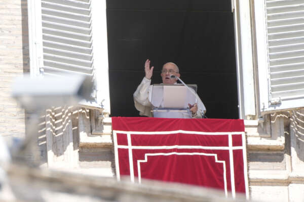 Papa Francesco, Chiesa