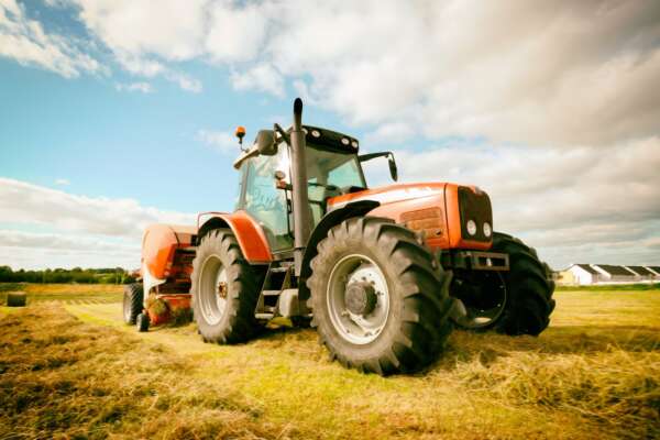 Agricoltura, la delusione della Pac: gli standard rigidi e le frustrazioni delle filiere produttive Agricoltura, la delusione della Pac: gli standard rigidi e le frustrazioni delle filiere produttive