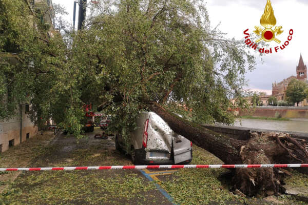 Maltempo Veneto, disperso un 66enne. Zaia firma lo stato d’emergenza: “Un autentico disastro”