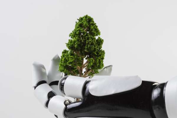 Cambiamento climatico e Intelligenza Artificiale: il rischio è quello di aumentare le emissioni