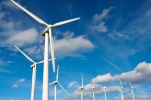 Salemi, operaio precipita da pala eolica e muore, volo di 30 metri: “Non parlate di fatalità”