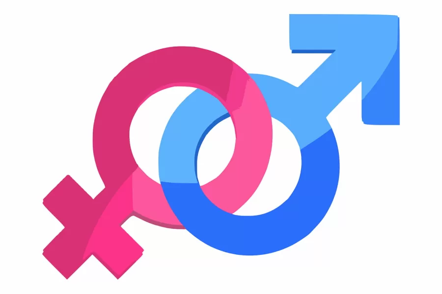 Dall’Europa, parità di genere uguale per tutti