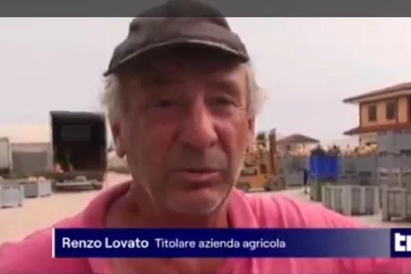 Il servizio del Tg1 sulla morte di Satnam Singh, monologo del “caporale” e nessuna domanda sui soccorsi: “Basta Tele Meloni…” Il servizio del Tg1 sulla morte di Satnam Singh, monologo del “caporale” e nessuna domanda sui soccorsi: “Basta Tele Meloni…”