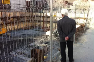 Pensioni, l’Italia è il paese dei trattamenti anticipati ma il ricambio generazionale è un miraggio