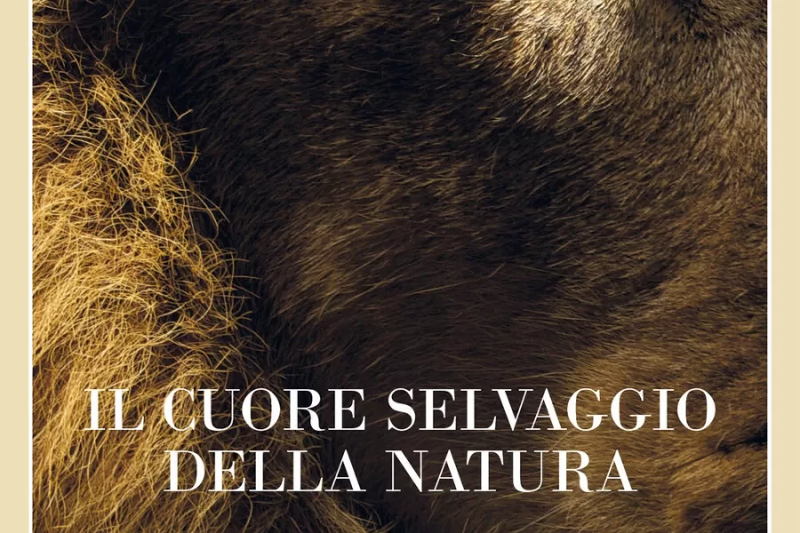 Dall’Africa alla Patagonia, il battito della Terra: l’affascinante libro d’avventure di David Quammen