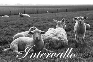 La TV a colori non piaceva al Partito Comunista. La battaglia ideologica ed economica sulle innovazioni La TV a colori non piaceva al Partito Comunista. La battaglia ideologica ed economica sulle innovazioni