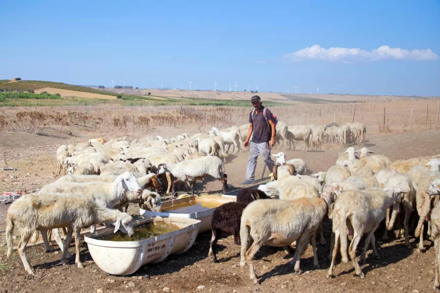 Sicilia, manca l’acqua: razioni per lavarsi e mangiare. La crisi idrica scatena la guerra tra poveri ma il governo pensa al Ponte