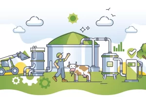 Decarbonizzazione, la rivincita del biometano e dei biocarburanti. Il ministero dell’Ambiente guarda oltre l’energia elettrica