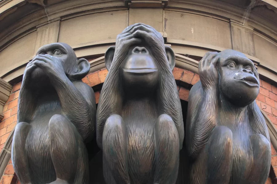 Gli italiani non votano. Simboli, leader, capi e amici: chi merita la preferenze perché