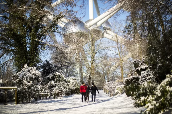 Gas, i rubinetti di Gazprom chiusi e la spirale dei prezzi. Europa al bivio: seguire le trivelle di Donald o forzare l’elettrico cinese?