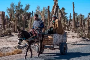 Tunisia, il piano Mattei più forte delle sirene cinesi: l’asse con l’Italia tra agricoltura, artigianato ed energia