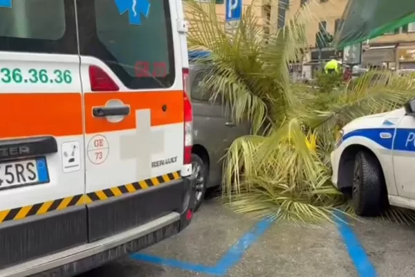 Crolla palma a Genova, donna di 57enne muore schiacciata mentre cammina in strada