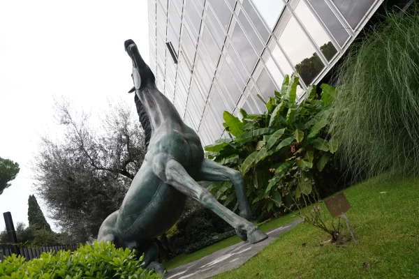 ESTERNI RAI VIALE MAZZINI
CAVALLO RAI
ESTERNO SEDE RAI